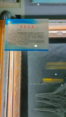 长安大学