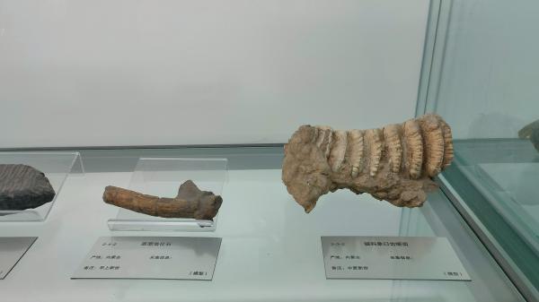 长安大学