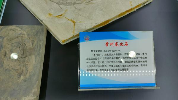 长安大学