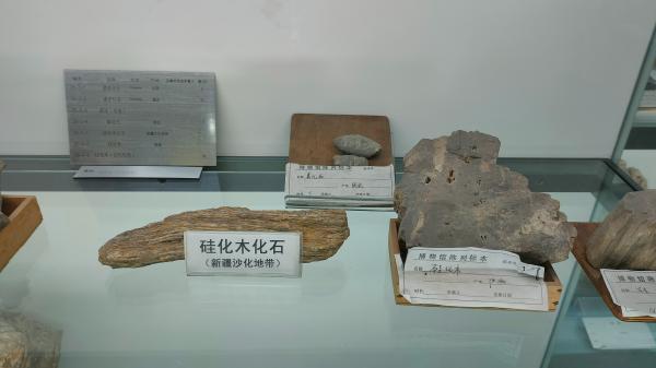 长安大学