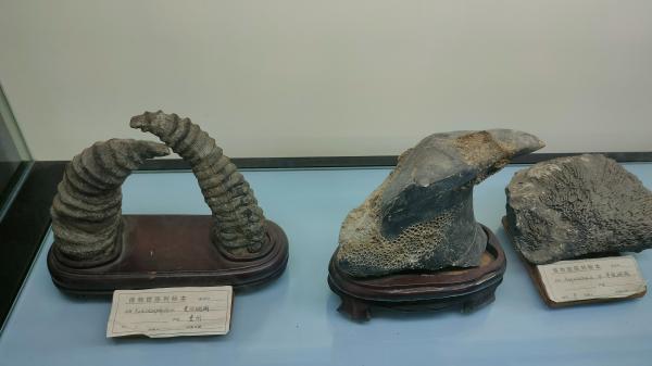 长安大学