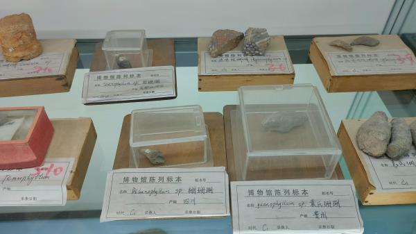 长安大学