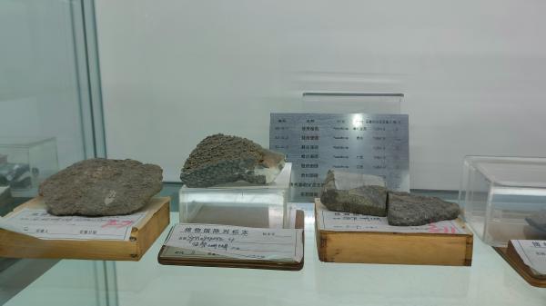 长安大学