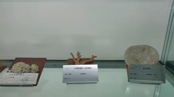 长安大学