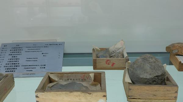 长安大学