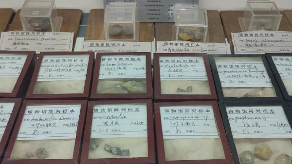 长安大学