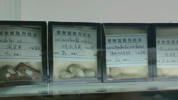 长安大学