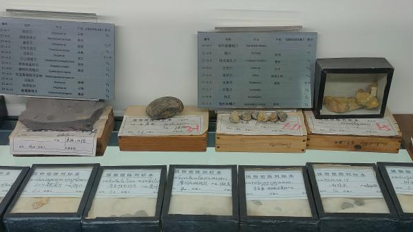 长安大学