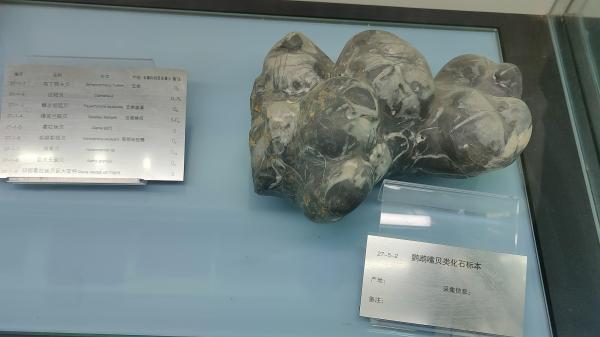 长安大学