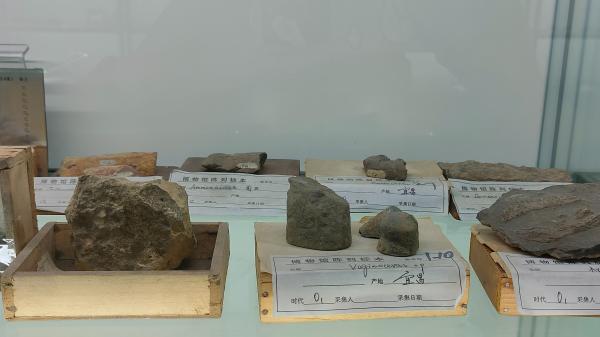 长安大学