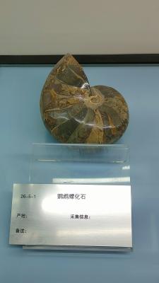长安大学