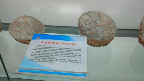 长安大学