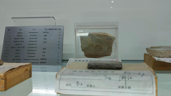 长安大学