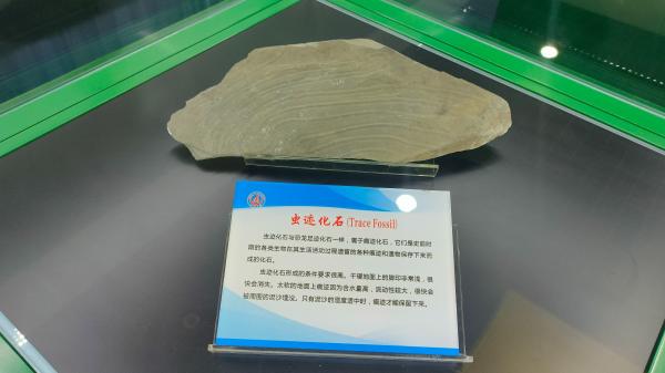 长安大学