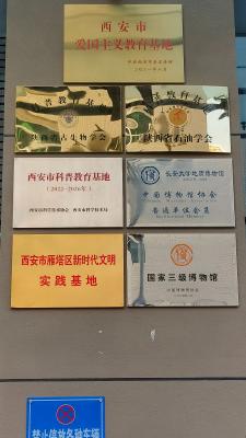 长安大学