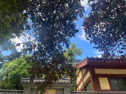 大兴善寺