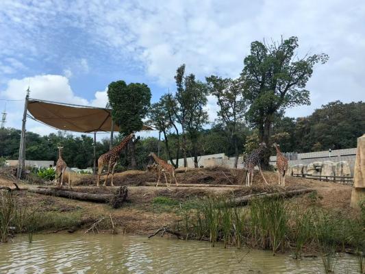 红山森林动物园